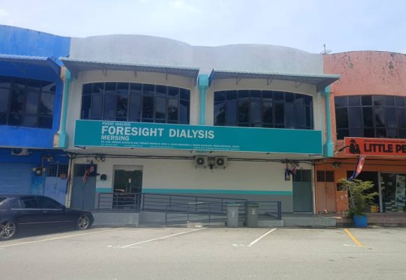merSING merSING
